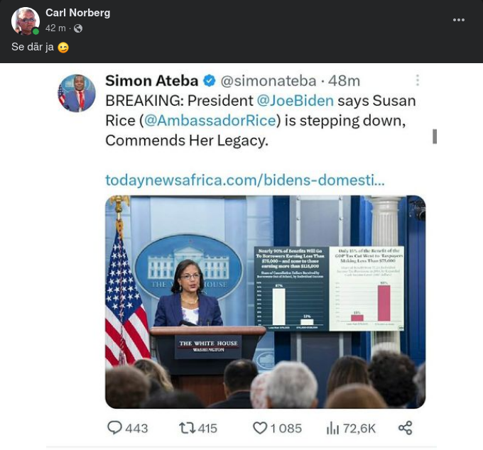 Susan Rice Kliver Av