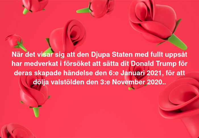 När Skapat För Att Dölja Visas