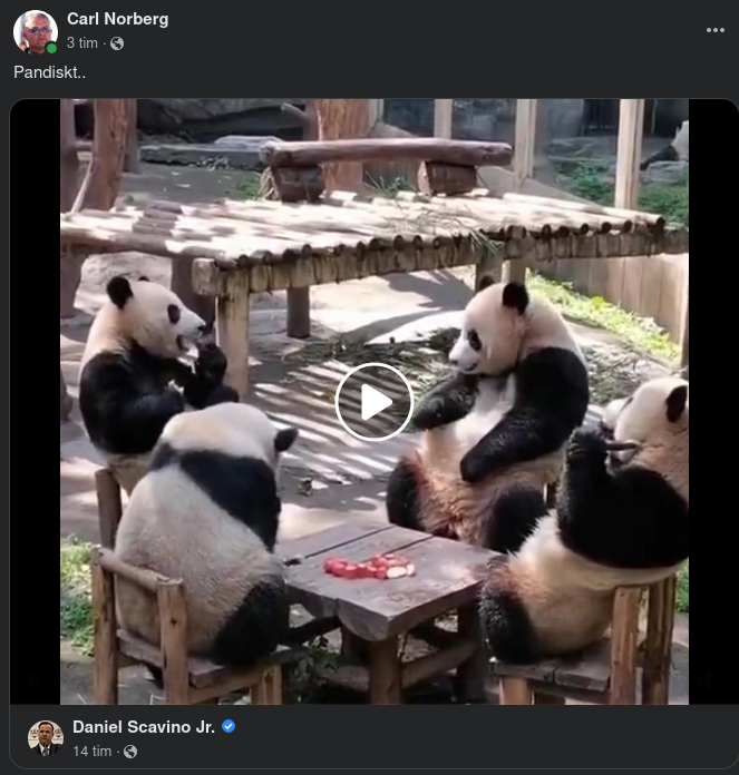 Pandiskt Från Scavino