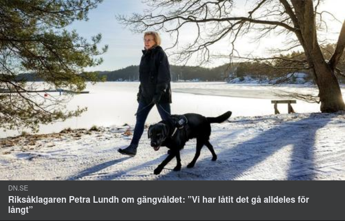 Riksåklagaren & Gängvåldet