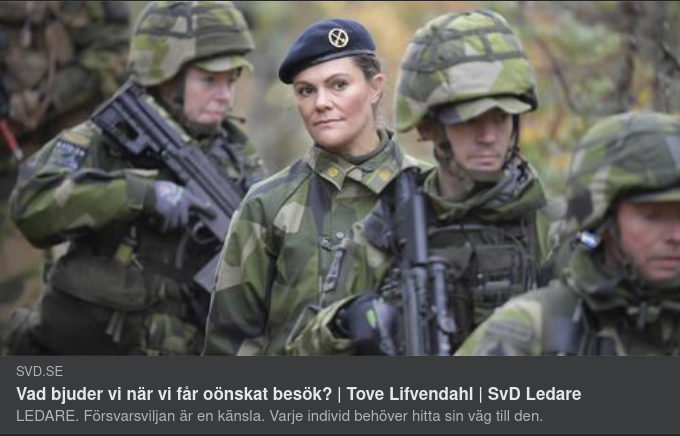 Till Botten I SvD Med Vansinnesflaggen I Topp