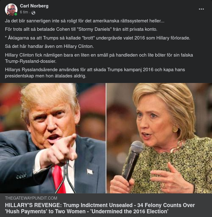 Det Amerikanska Rättssystemet