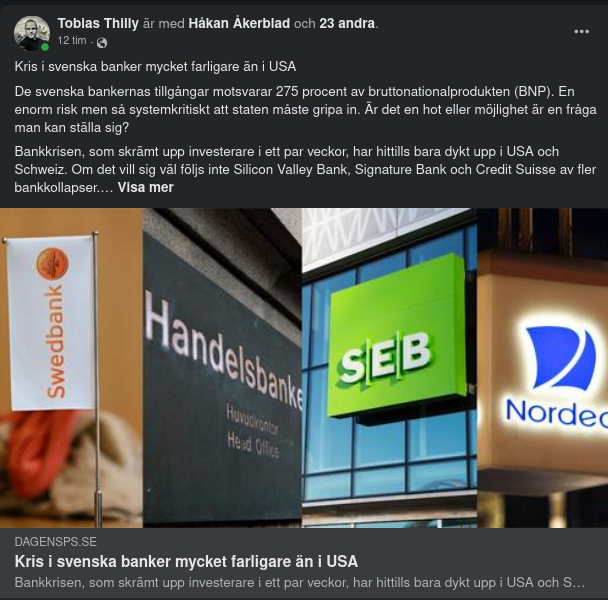 De Svenska Bankerna & Bankkrisen