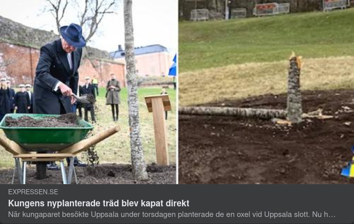 Kunglig Trädsymbolik