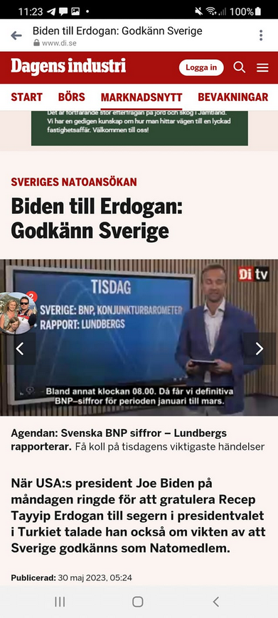 Underlivsporslinet, Erdoğan & Svenskt Natomedlemskap