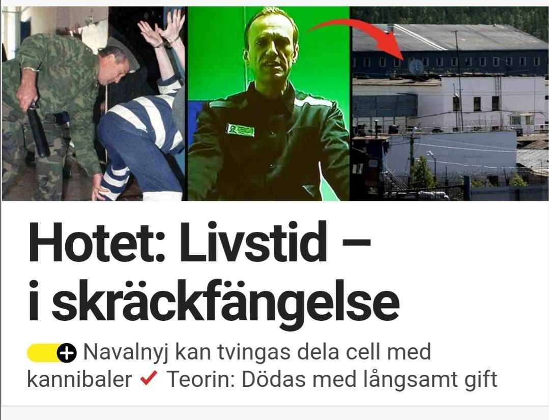 Navalny I Svensk Media