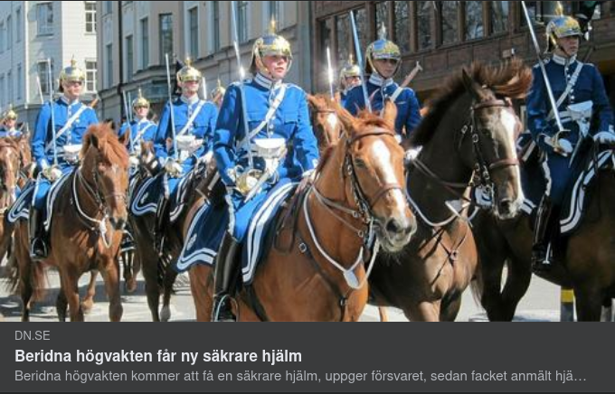 Hjälmskyddad Högvakt