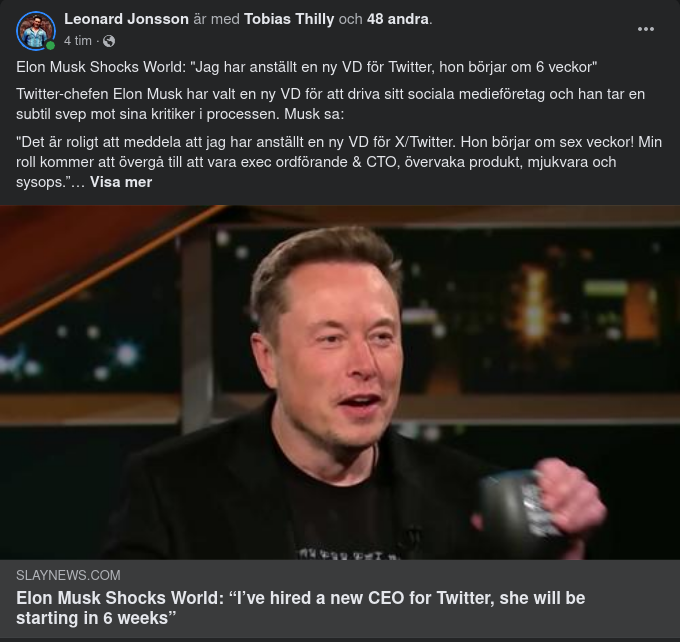 Musk Har Anställt Ny VD