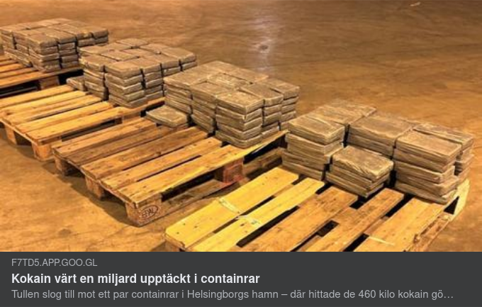 Containerfunnet Kokain