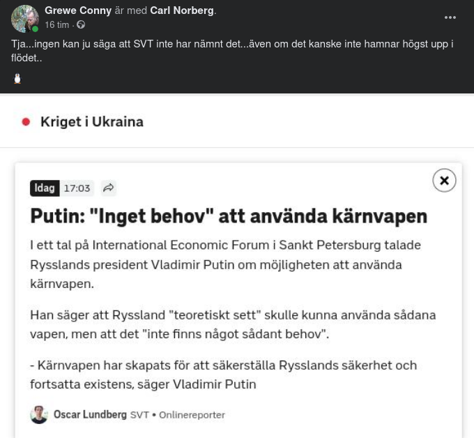 Putin Utan Kärnvapenanvändningsbehov