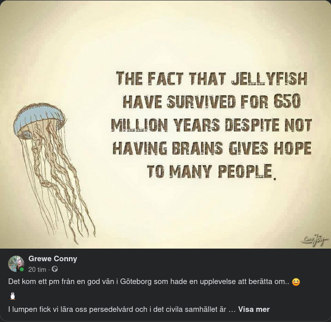 Rapport Från Bostadsrättsföreningsmöte I Göteborg