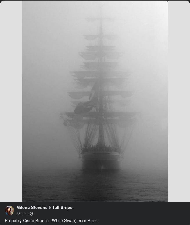 Brasilianskt I Dimman