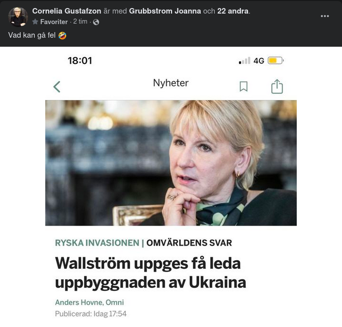 Ukrainaåteruppbyggande Maggot?..