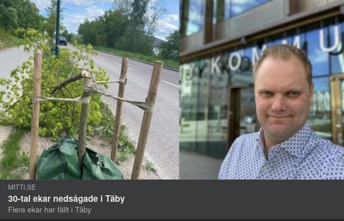 Nedsågningsoptik