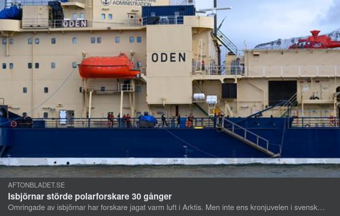 Isbjörnsstörda Polarforskare