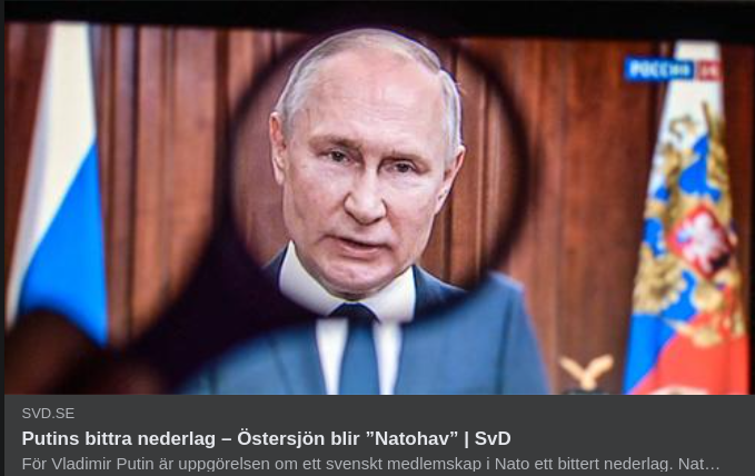 Nederlagsbitter Putin I SvD