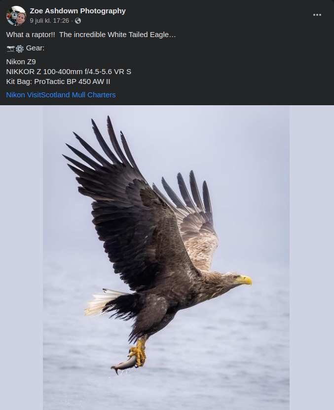 Ytterligare En Fiskjägare