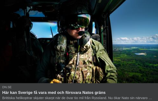 Svenskt Natogränsförsvar