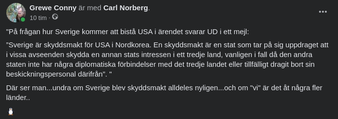 Amerikansk Soldat Gripen I Nordkorea