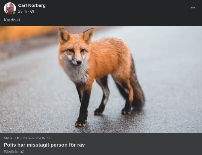 Polisiärt Rävmisstag