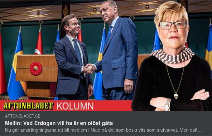 Erdoğan Vilja - En Olöst Gåta För Mellin I Aftonslasket