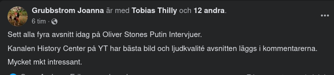 4 Timmar Putin & Oliver Stone