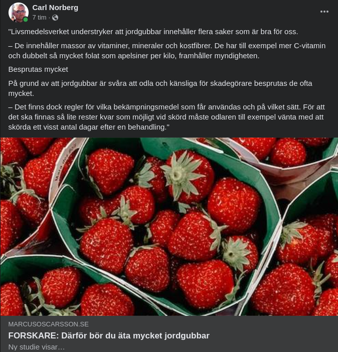 Svensk Jordgubbspedagogik