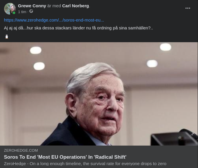 Soros Avslutar OSF:s Flesta EU-Projekt