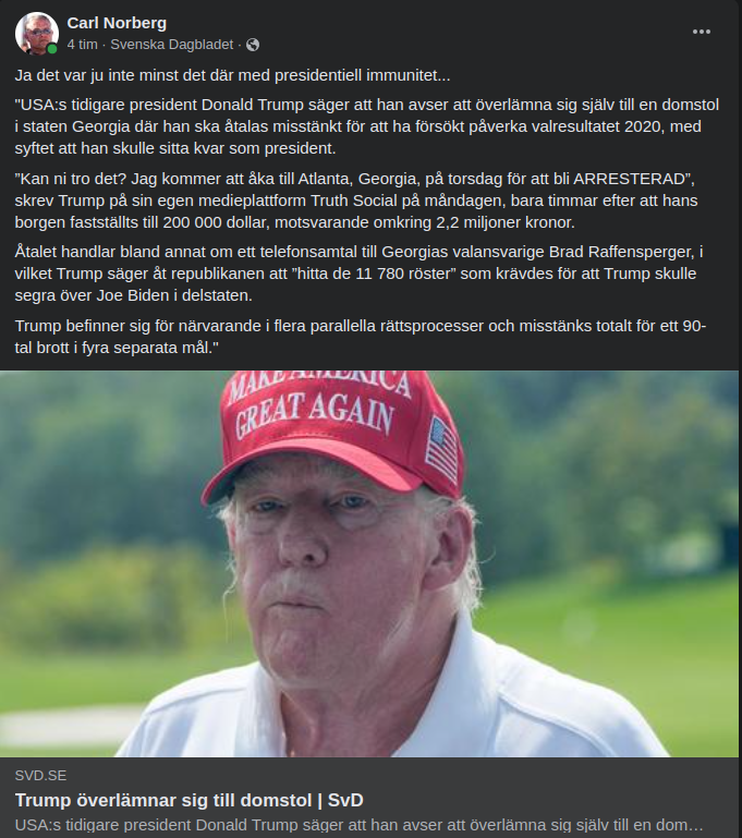 Georgia & Presidentiell Immunitet