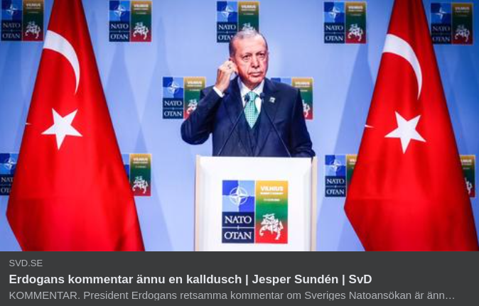 Kallduschkommenterande Erdoğan I SvD