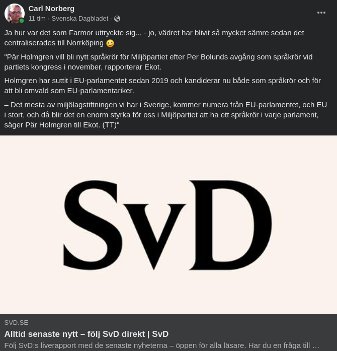 Meteorolog Kandiderar För Språkrörsposition