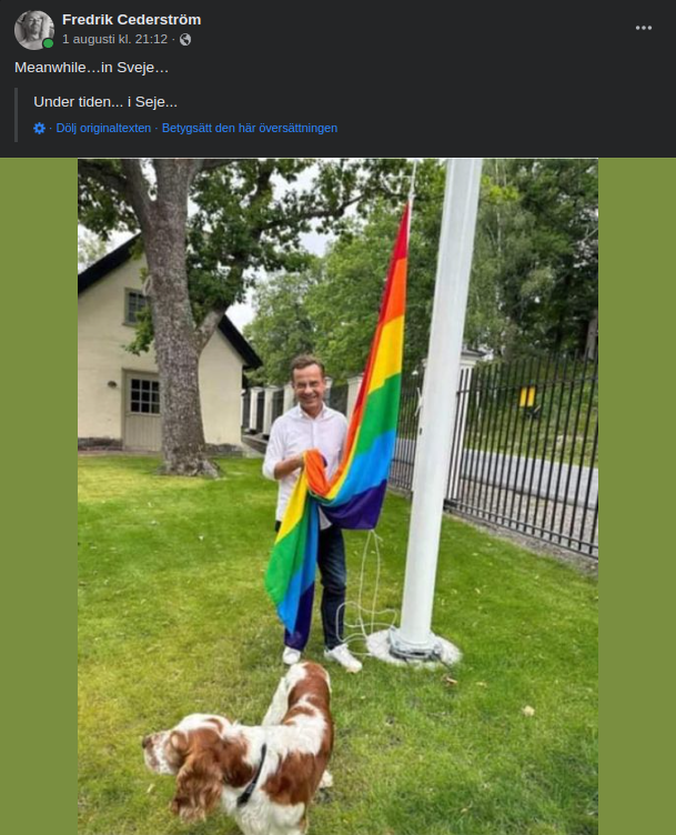 Flagghållande Barnhandlare