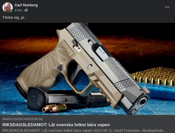 Vapenpositiv Riksdagsledamot