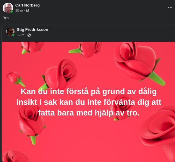 Sakinsikt & Troförståelse