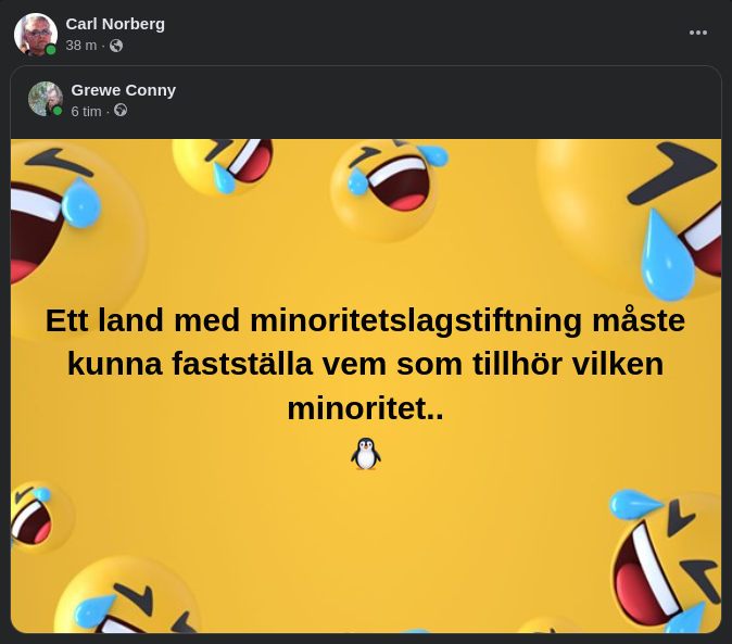 Minoritetsfastställande Regleringar