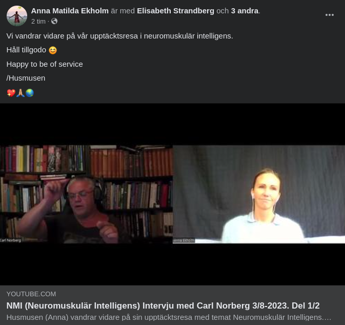 Hälsomys - Vidare På Neuromuskulära Intelligensresan