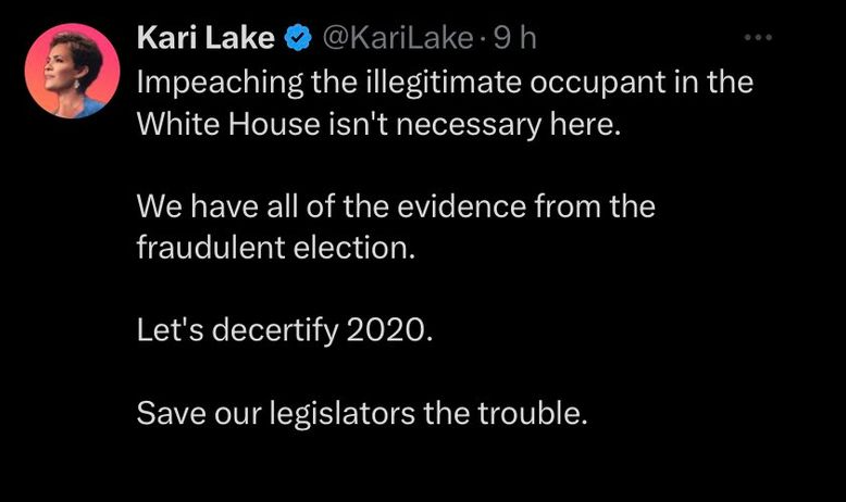 Kari Lake Om 2020-Valet