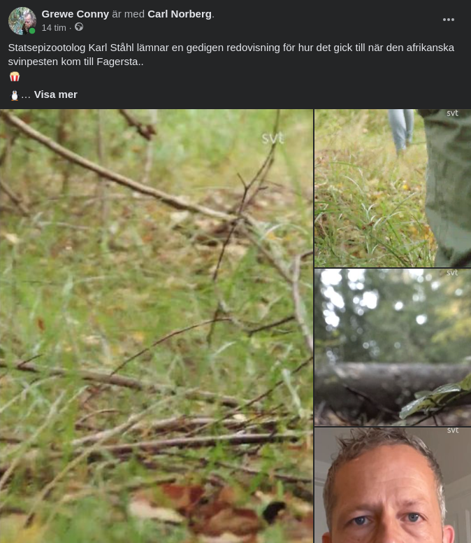 Statsepizootolog Karl Ståhl Om Den Afrikanska Svinpestens Reseväg