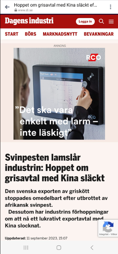 Stopp För Svensk Svinexport