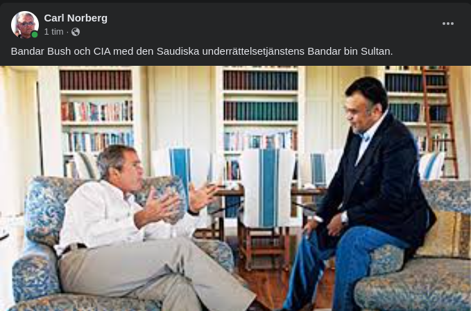 Bandar bin Bush & Bandar bin Sultan