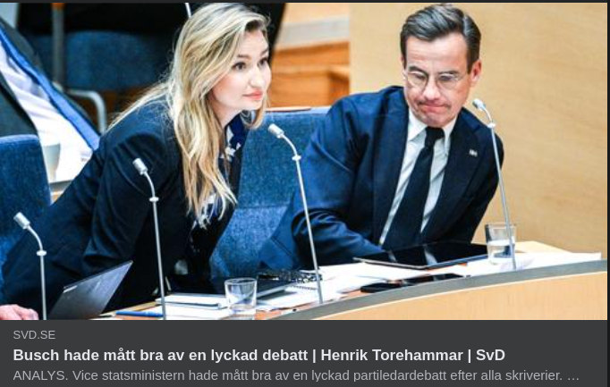 Stenhuggen Karaktärsmässig Moral I SvD