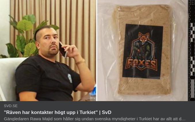 Höga Turkiska Rävkontakter