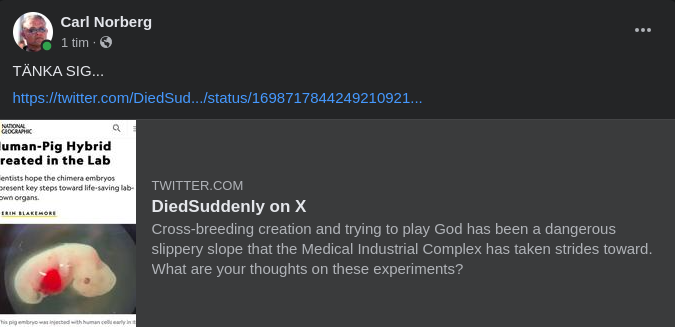 Människogris - Grismänniska