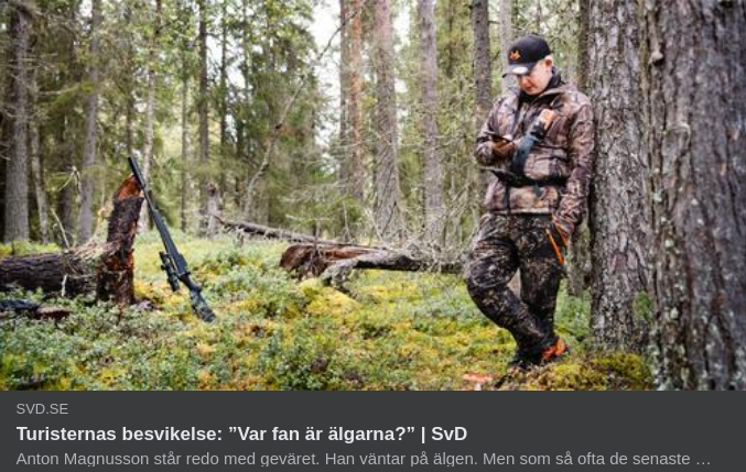 Inga Älgar I SvD