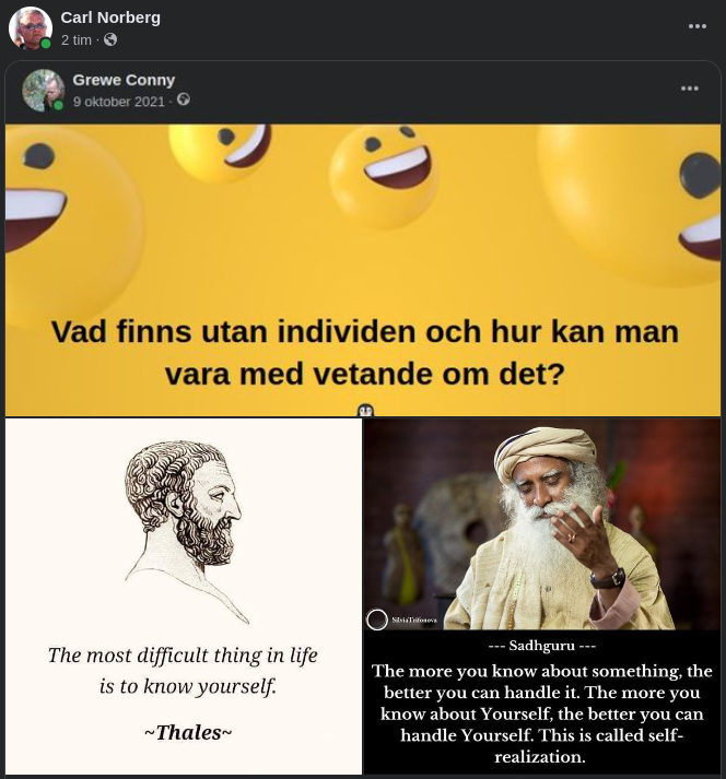 Individ Med Vetande