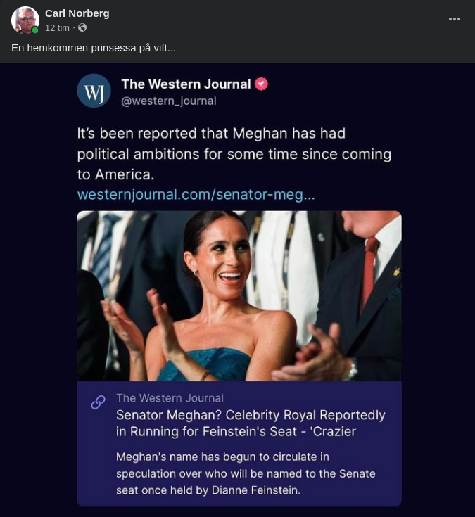 Politiskt Hemkommen Prinsessa?..