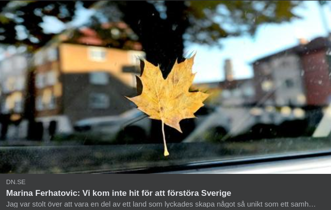 Förstörelsevinnare?..