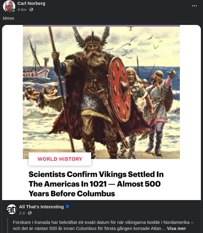 Vikingar I Amerika 1021