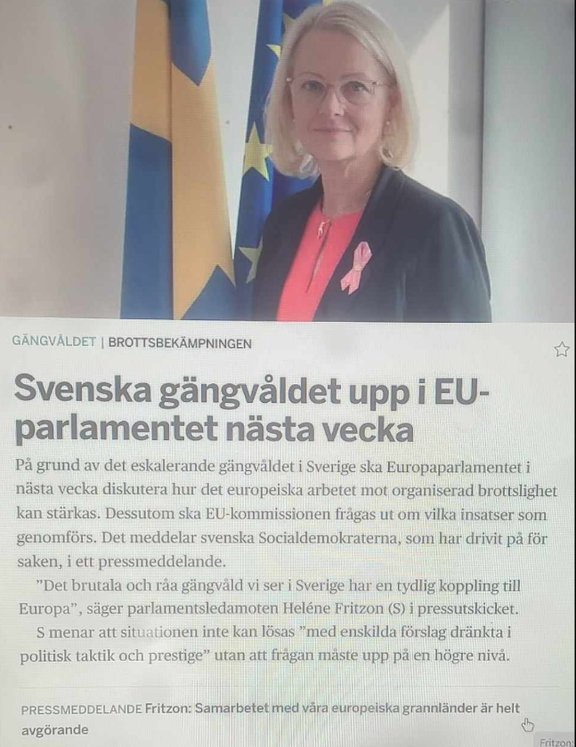 Svenskt Gängvåld I EU-Parlamentet Nästa Vecka