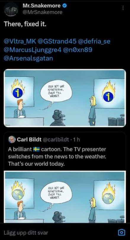 Fixad Bild Åt Bildt